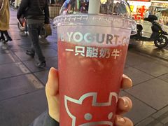 -一只酸奶牛(八一路店)