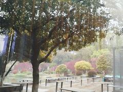 -食膳公园包子铺(烈士公园店)