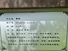 -常家庄园