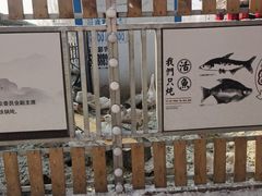 -鱼窝棚柴火铁锅炖(富山屯店)