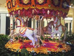 -拉斯维加斯永利酒店