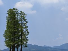 -四明湖