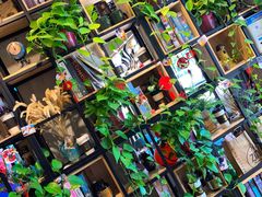 -ZING COFFEE 镜咖啡