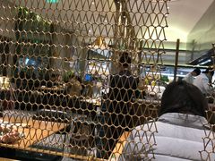 大堂-米纸越南小馆(金鹰世界店)