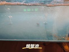 -长沙北辰洲际酒店-兰调全日餐厅