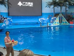 -海合安成都极地海洋公园
