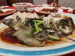 -海晖酒楼·顺德鱼生(荣华店)