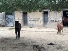 -南昌动物园
