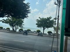 -野菌皇海景野生菌火锅(滨海大道店)