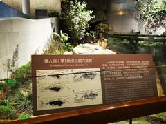 -北京周口店北京人遗址博物馆