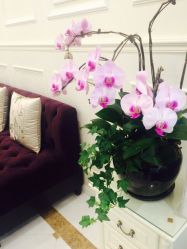 艾维庭美容SPA(上海广场店)-艾维庭美学SPA