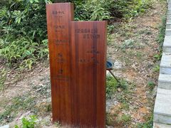 -天鹿湖森林公园