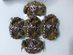 -七的湖·晚芳亭·阳澄湖农家菜·大闸蟹(莲花岛店)