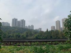 -龙头寺公园