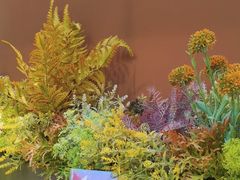 -椒爱水煮鱼川菜(皇姑万象汇店)