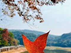 -广州市白云山风景名胜区