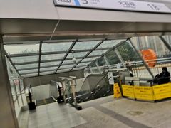 -大龙山(地铁站)