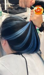 -5M HAIR SALON 旗舰店