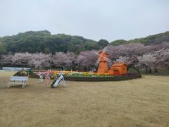 -苏州上方山国家森林公园