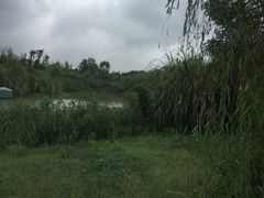 -白鹭湾湿地公园