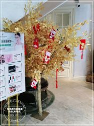 -海茱雅科技健康美容