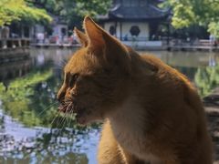 -西园戒幢律寺