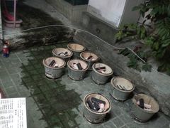 -司马街鸡煲(西华路店)
