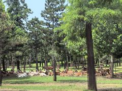 -秦皇岛野生动物园