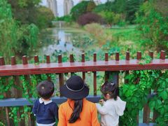 -昆山城市生态森林公园