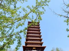-牛首山文化旅游区