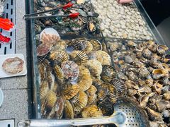 -半岛听涛蒸汽海鲜自助(K11店)