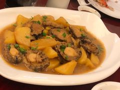 -水岸阳光