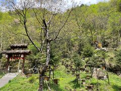 -关门山森林公园