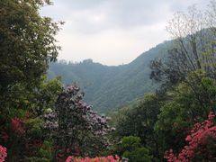 -莫干山风景区