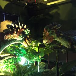 -恐龙探索乐园(磁器口店)