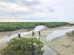 -北海金海湾红树林生态旅游区