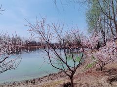 -东郊湿地公园