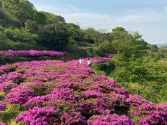 -许家山