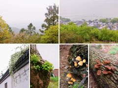 -东山风景区(洞庭东山)