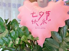 -坂田天虹
