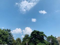 -美景宫
