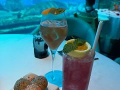 -亚特兰蒂斯•OSSIANO奥西亚诺海底餐厅