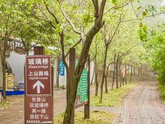 -南丹山森林王国