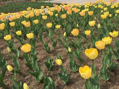 -长春公园(普阳街道)