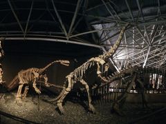 -世界恐龙谷景区