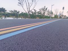 -羊山湖公园