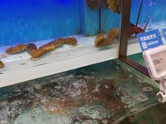 -盒马X会员店(王府井奥莱UP TOWN店)