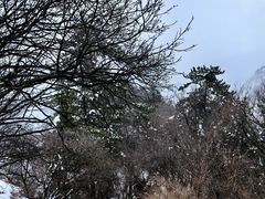 -华山风景名胜区