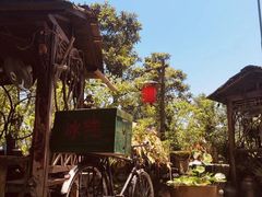 -青城甲(青城山店)