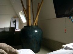 -热带雨林汗蒸馆(汶水东路店)